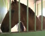 ������������ �����-���������� ����� � ����� ���������� ������� ��������� � ���� �������� ������ �������������� � ���������.