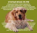 ���������� ��� � ���, ��� � ��������� ����������� �� ������ ������������ �������� ���������� ������ ��� ������� �����