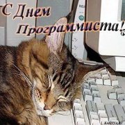 � �ͨ� ������������