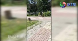 ������������ � ����������������� ����������� ���������