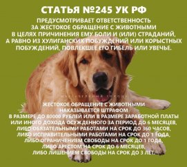 ���������� ��� � ���, ��� � ��������� ����������� �� ������ ������������ �������� ���������� ������ ��� ������� �����