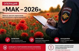 � ���� ������ �� �. ���������, ������� ������ ���� ���������������� ����������-���������������� �������� � ���-2026�.