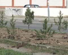 � ������������ ������ ������� ���� ���������������� ������������ ������������ ����� ������.