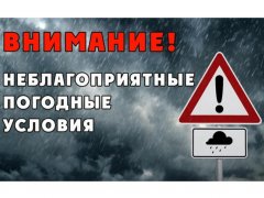 �������� ��������������� ������������ �� ������� ���������� ��������